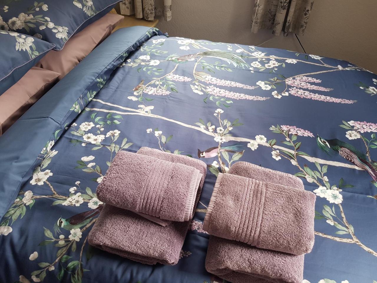 Alexandra Lodge Guest House 切斯特 外观 照片